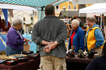 Summer Saturday Art Fest