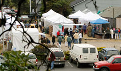 Summer Saturday Art Fest