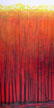 Barbara Kelley: Firelight