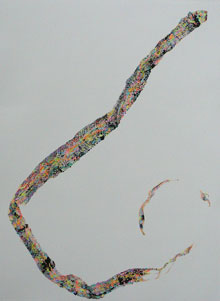 Studio Discovery Tour artist Barbara Kelley: Pennsylvania Black Snake