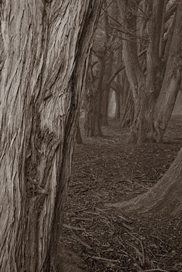 Studio Discovery Tour artist Bill Apton