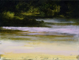 Studio Discovery Tour artist Craig Gilliland: Black Point Meadow
