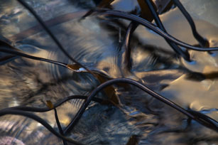 Studio Discovery Tour artist Jamie McHugh: Low Tide 4