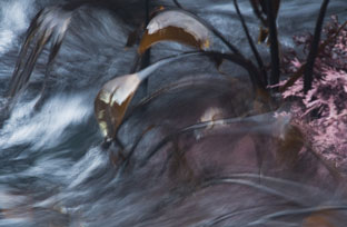 Studio Discovery Tour artist Jamie McHugh: Low Tide 5