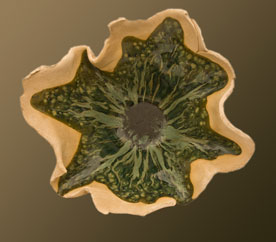 Studio Discovery Tour artist Jan Maria Chiappa: Wine cooler with grapes