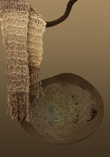 Studio Discovery Tour artist Jan Maria Chiappa: Wine cooler with grapes