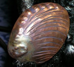 Studio Discovery Tour artist Jim Joyce: Abalone Shell