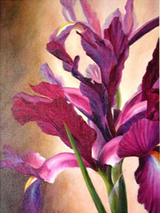 Studio Discovery Tour artist Kathy Edelbrock: Chinese Iris Vertical