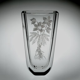 Studio Discovery Tour artist Meg Oldman: Elibore Noire