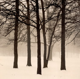Studio Discovery Tour artist Paul Kozal: Palos Park