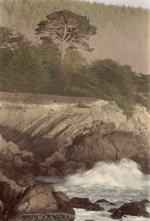 Studio Discovery Tour artist Paul Kozal: Sea Pine