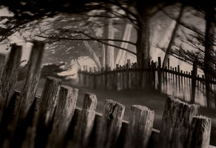 Studio Discovery Tour artist Paul Kozal: The Fence Line