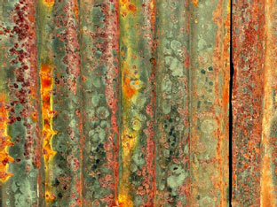 Steve Chell - Sunlit Tin Barn Siding