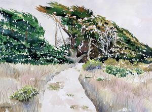 Studio Discovery Tour artist Ted Noble