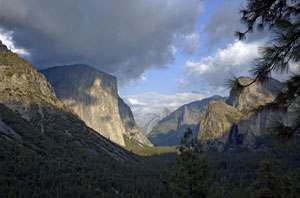 Studio Discovery Tour artist Tom Eckles: Yosemite Valley