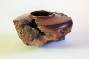 Studio Discovery Tour artist Tom Haines: Manzanita