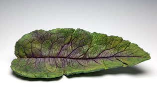 Studio Discovery Tour artist Toni Wilson