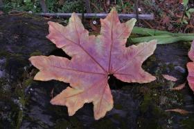 Studio Discovery Tour artist Toni Wilson