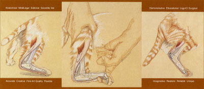Genny Wilson: Illustration