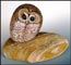 Ellen Soule: Owl
