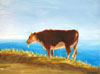 Jeani Martini (oil paintings)