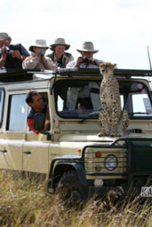 Photos of Africa, with Lynne & Jim Edwards