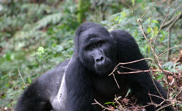 Photos of Africa, with Lynne & Jim Edwards