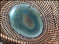 Pine Needle Basket Making - Gerda Randolph