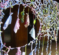 '2300' by Harmony Susalla, Environmental Art exhibit 2006