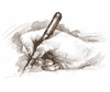 Gualala Arts Creative Writing Short Story Contest