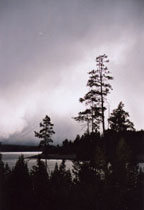 Elizabeth Shepherd (photography)