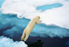 Wild Moments, Wild Places, with Ralph Lee Hopkins