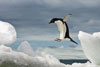 Wild Moments, Wild Places, with Ralph Lee Hopkins