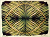 Alternatives: Fern Mandala