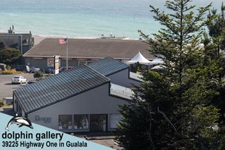 Dolphin Gallery