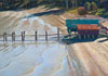 Tim Brody (pastels)