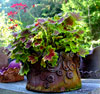 Pots for Plants Workshop, with Jan Maria Chiappa