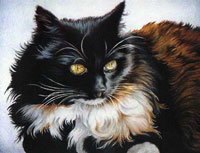 Painting with Colored Pencils, with Barbara Krans Jenkins