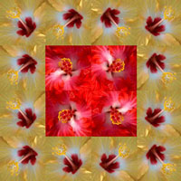 Hawaiian Patchwork, by Willa Marten