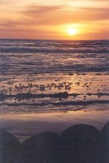 Ray Borton (photography)