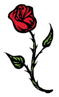 Beauty and the Beast - rose