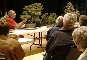 Art of Bonsai