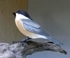 Introduction to Woodcarving