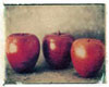 Barbara Smith Apples