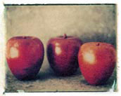 Barbara Smith Apples