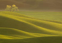 Churning Up Creativity in Your Photography, with Susan & Neil Silverman