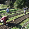 Earth Day: Oz Farm