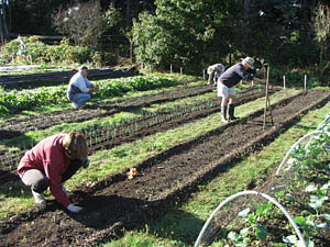 Earth Day: Oz Farm
