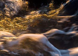 Proprioceptive Photography, with Jamie McHugh