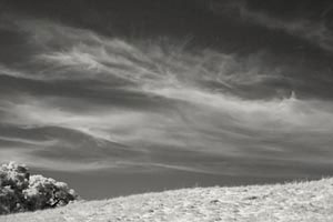 Jeanne Gadol: photography